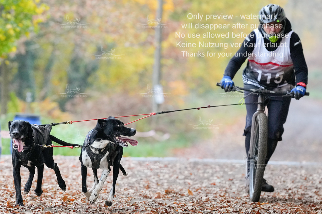 AusschnitteSo-19 | stephaniefillaphotographie - Realisiert mit Pictrs.com