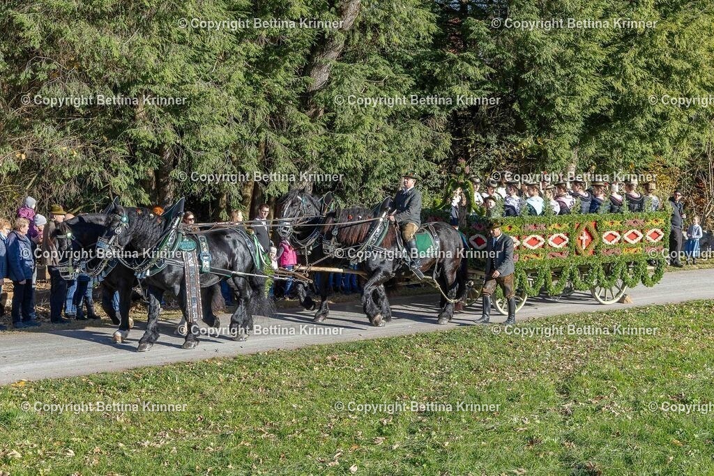 LBT25-306 | foto-bettina-krinner - Realisiert mit Pictrs.com