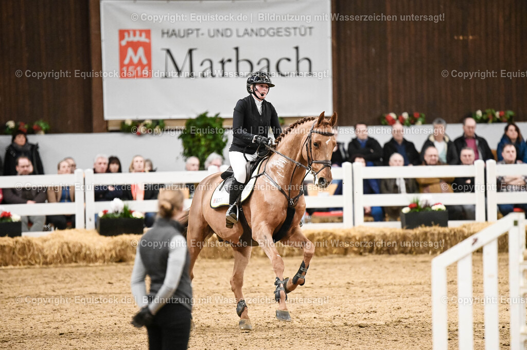 20260307_Hengstvorstellung-Marbach_0159 | equistock