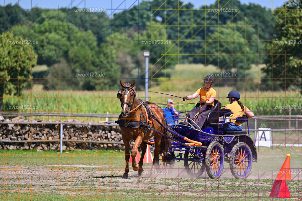 30 Jahre RFV Pulsnitz e.V., Pulsnitz am 09.08.2026 | Zur 28. breitensportlichen Veranstaltung des RFV Pulsnitz e.V. fanden verschiedene Wettbewerbe in nahezu allen Disziplinen des Pferdesport statt. - 18 Kegel-Fahr-Wettbewerb - Realisiert mit Pictrs.com