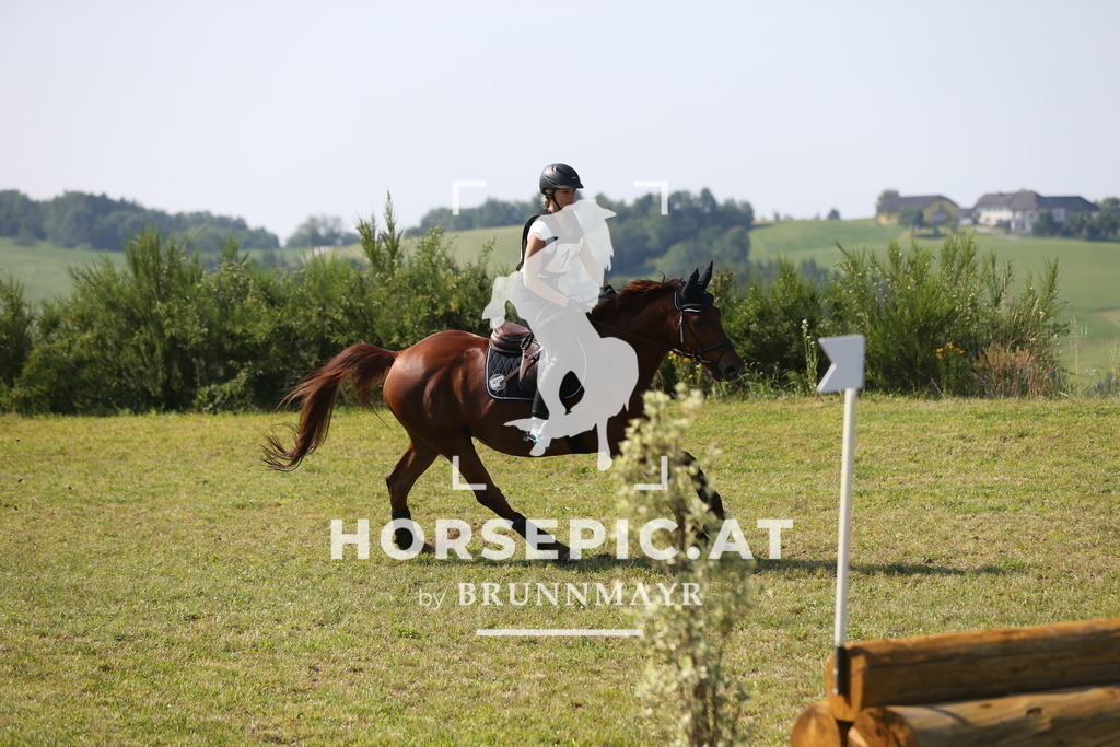 DL2Q1531 | Willkommen bei Brunnmayr - Design & Fotografie – Ihrem Spezialisten für Reitturniere und Pferdeveranstaltungen in Oberösterreich, Salzburg und Bayern! Seit über 17 Jahren sind wir leidenschaftlich dabei.