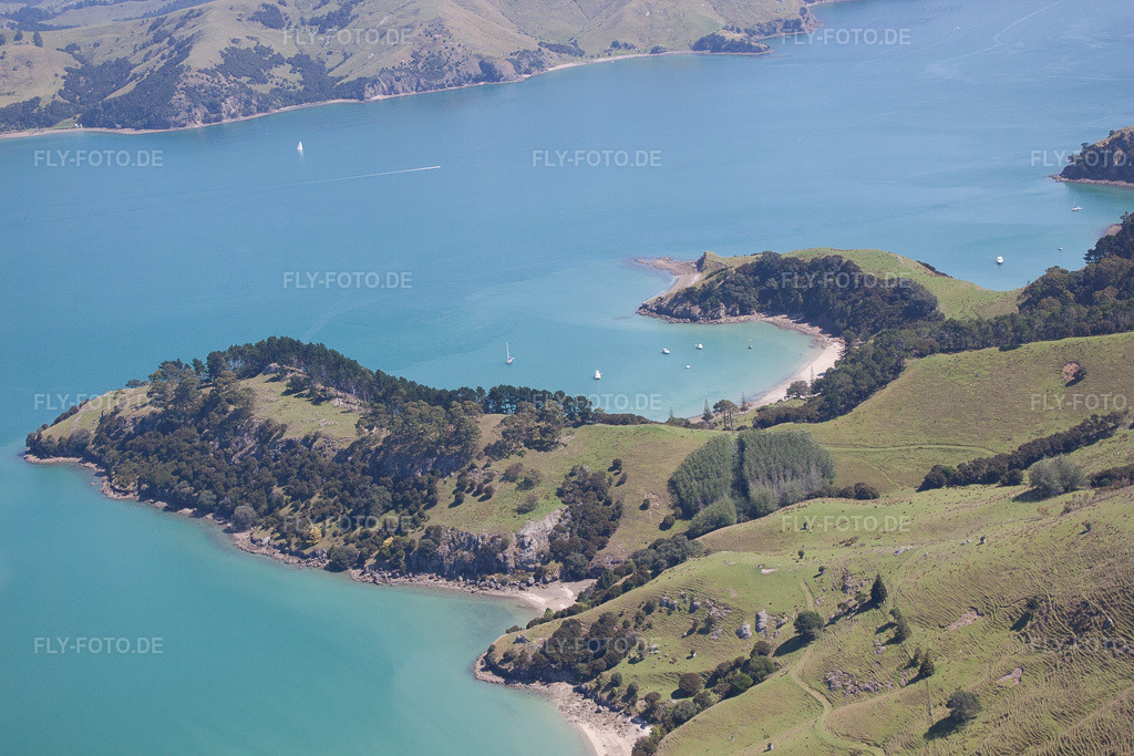 Luftbild: Ortsansicht in Whanganui Island im Bundesland Waikato in Neuseeland. Foto: IMG_55701.jpg vom 12.01.2013 durch Werner Riehm/FLY-FOTO.de