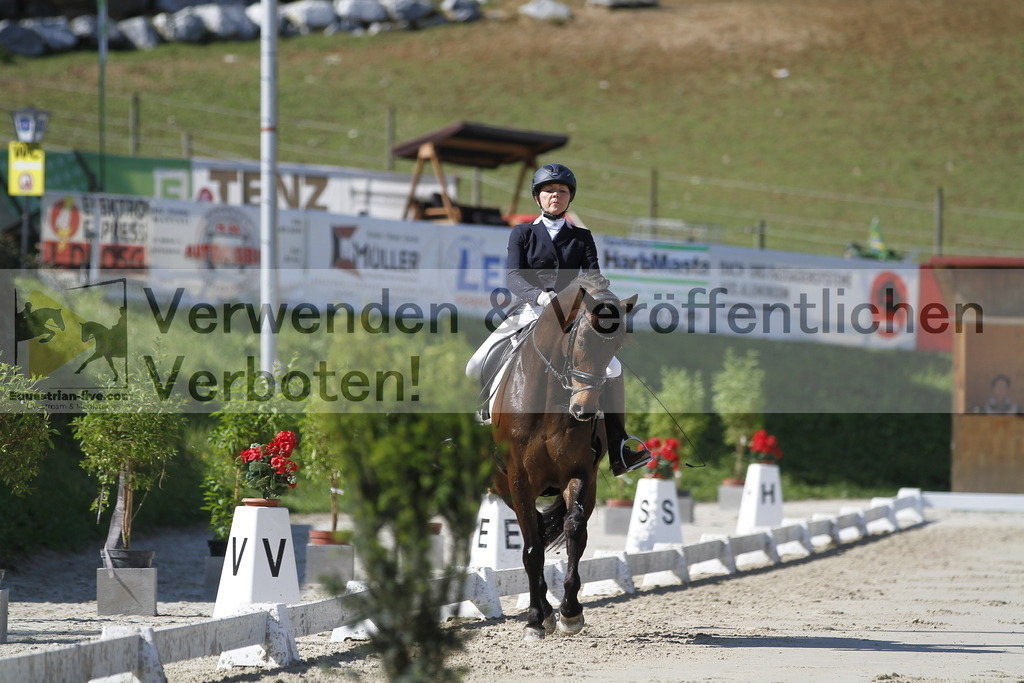 _MG_2887 | equestrian-live-com