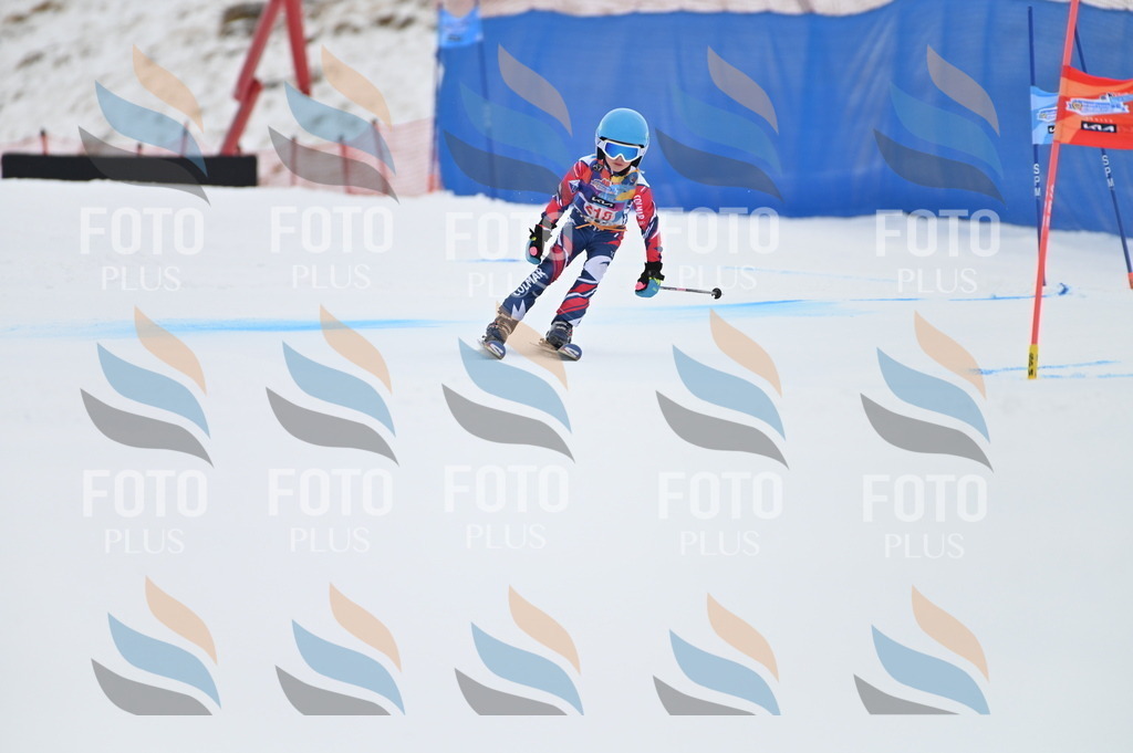 BGV_2894 | holidayphoto