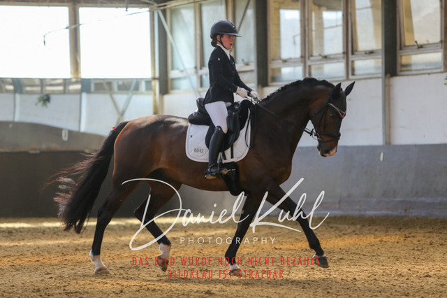 IMG_2635 | Turniersportfotografie; Pferdefotografie; Dressurfotografie