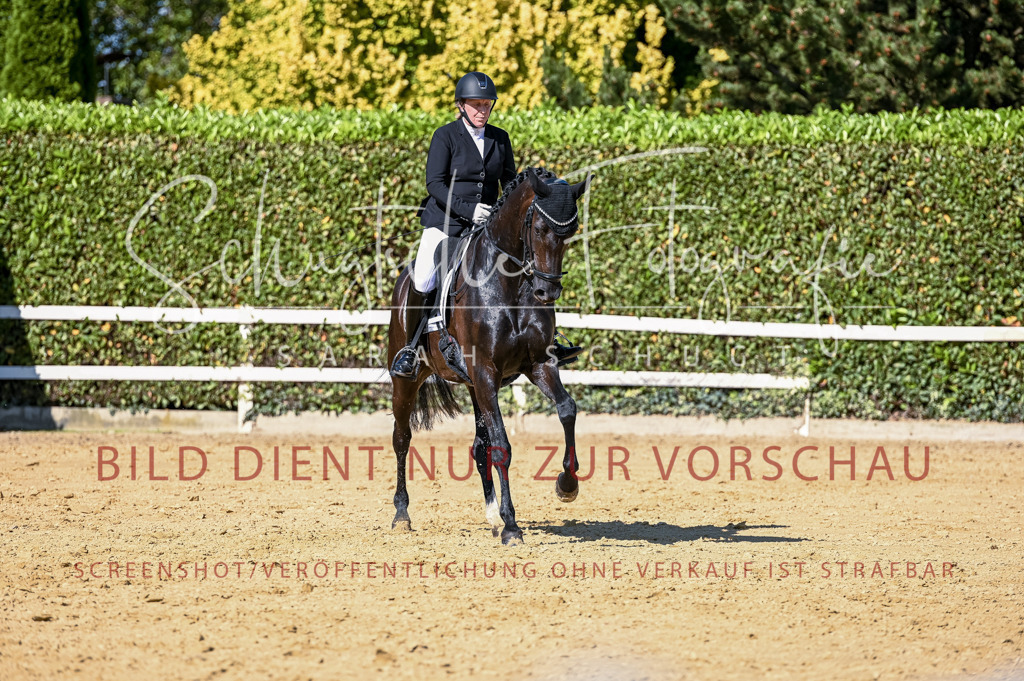 Schugtsche-Aluta25-50.Dressurpferdeprf.L-202 | Schugtsche Fotografie - Realisiert mit Pictrs.com