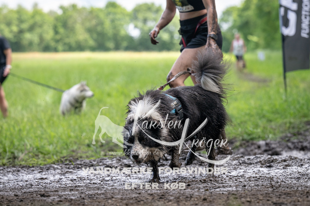 1323_ZZ91046 | kk-dogfotos