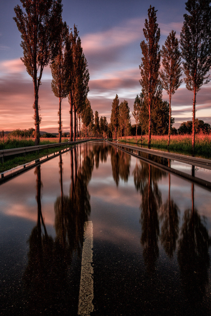 Moos 004-Bearbeitet | Rothenburg ob der Tauber. Nur hier gibt es Exklusive und passend zur Jahreszeit Ihr Wandbild, T-Shirt, Tasse und alles was das Rothenburg Herz begehrt. - Realisiert mit Pictrs.com