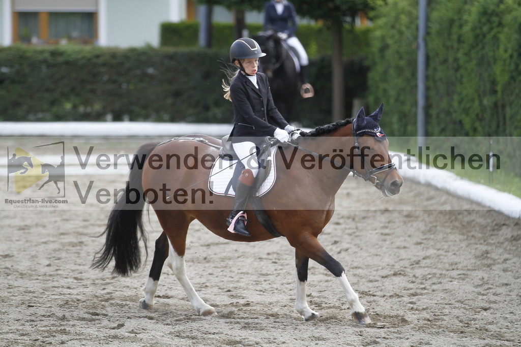 _MG_1147 | equestrian-live-com