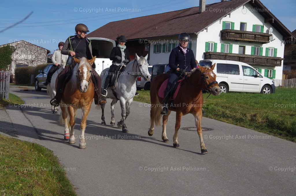 IMGP1635 | fotografiert von Axel PollmannLeonhardi Wallfahrt Benediktbeuern und Murnau, Fronleichnam, Fasching, Landschaft im Loisachtal und Benediktbeuern  - Realisiert mit Pictrs.com