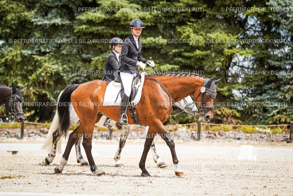 DSC03580 | Pferdegrafie