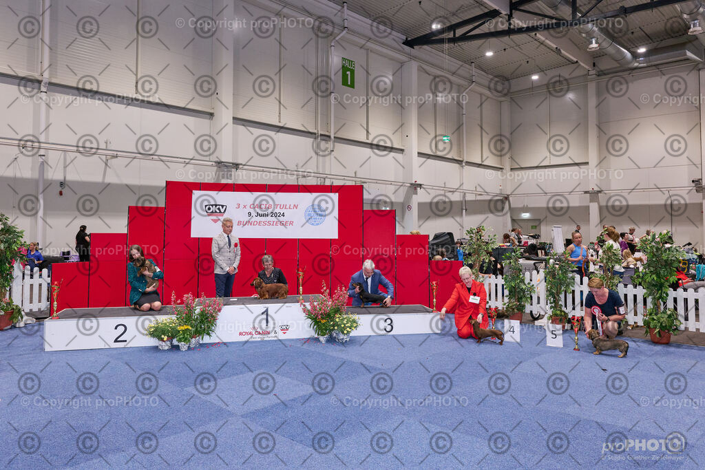 202406_ÖKV-IHA-Tulln24_NZ9_9519 | proPHOTO - Realisiert mit Pictrs.com