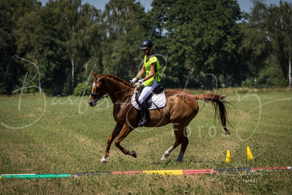 CJP_2026-06-26_35 | Stimmungsvolle Fotografie von Pferden, fotografische Begleitung von Veranstaltungen, Golfturnieren und Distanzritten - Realisiert mit Pictrs.com