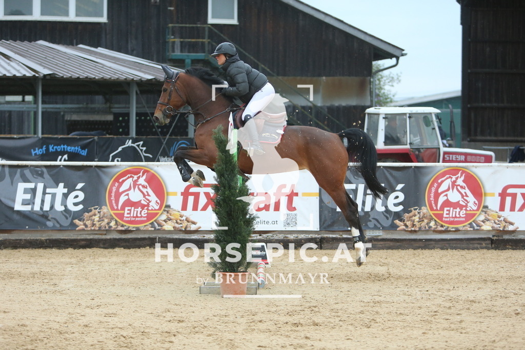 DL2Q7552 | Willkommen bei Brunnmayr - Design & Fotografie – Ihrem Spezialisten für Reitturniere und Pferdeveranstaltungen in Oberösterreich, Salzburg und Bayern! Seit über 17 Jahren sind wir leidenschaftlich dabei.