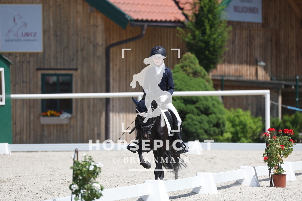 0P6A5749 | Willkommen bei Brunnmayr - Design & Fotografie – Ihrem Spezialisten für Reitturniere und Pferdeveranstaltungen in Oberösterreich, Salzburg und Bayern! Seit über 17 Jahren sind wir leidenschaftlich dabei.