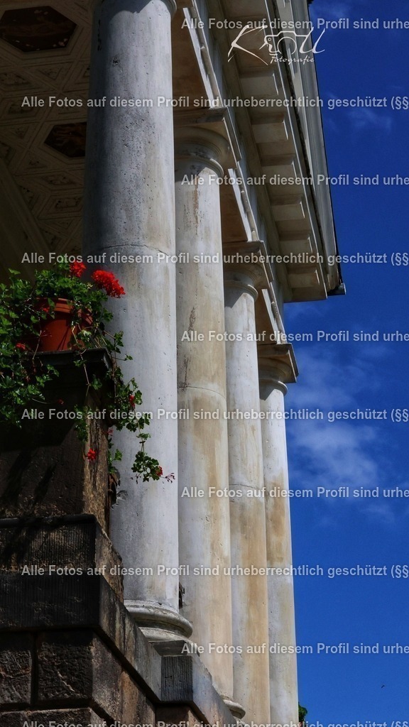 Photo_1753819001143 | krollfotografie - Realisiert mit Pictrs.com