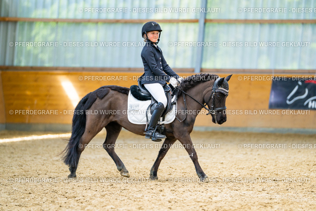 DSC09072 | Pferdegrafie