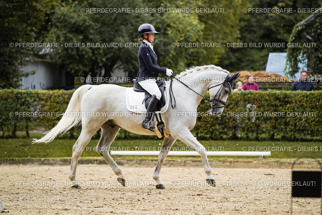 DSC06655 | Pferdegrafie