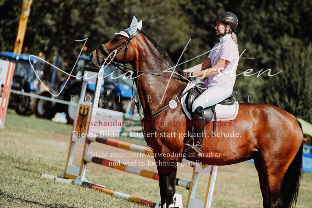 DSC_9733 | Pferde- und Turnierfotografie in Westsachsen. Pferdeportraits, Auftragszeichnungen und intuitive Kunst.