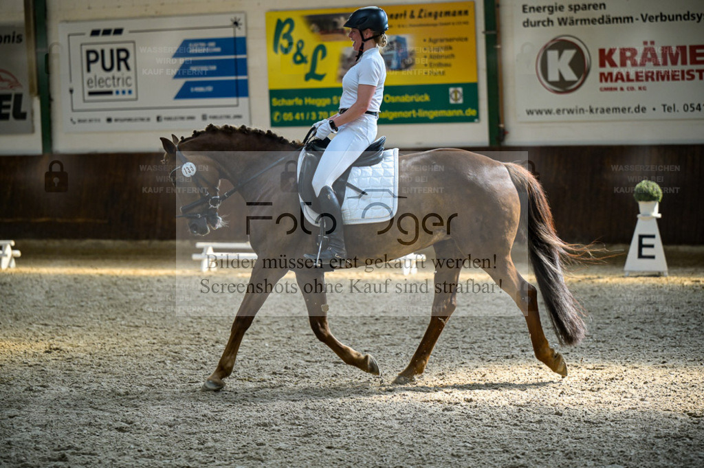 Reitturnier Voxtrup | Entdecke hochwertige Reitturnierfotos von Foto Oger. Professionell, emotional und authentisch – jetzt Lieblingsmomente im Shop bestellen. - Realisiert mit Pictrs.com