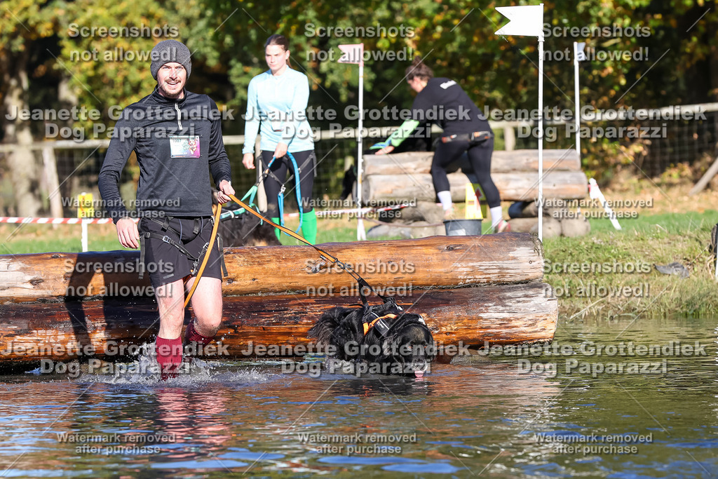 Dog Paparazzi - Strongdog 10-25-8831 | Dog Paparazzi Jeanette Grottendiek Fotografie & Videografie - Realisiert mit Pictrs.com