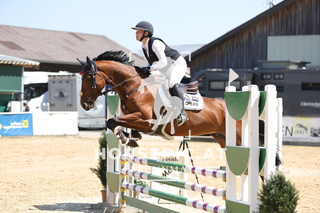 0P6A6731 | Willkommen bei Brunnmayr - Design & Fotografie – Ihrem Spezialisten für Reitturniere und Pferdeveranstaltungen in Oberösterreich, Salzburg und Bayern! Seit über 17 Jahren sind wir leidenschaftlich dabei.