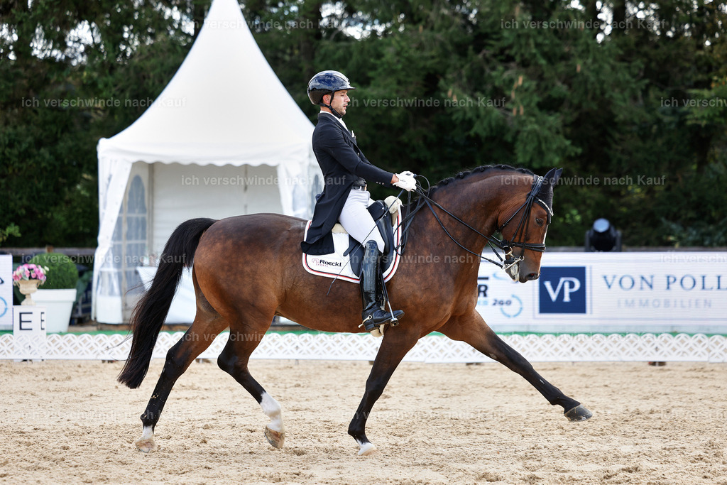 10-207-ST.GEORG SPECIAL -StoibPH-3274 | working equitationturnier fotograf videograf stoibphotography marixx film working equitation deutschland reitsport turnierfotografie eventfotografie equestrian events