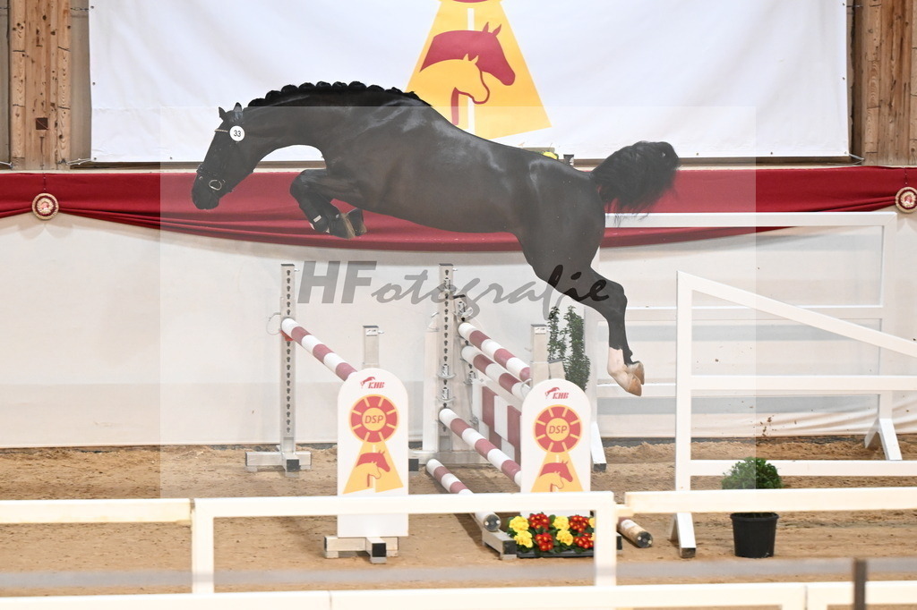 Kat.-Nr. 33 v. Vigaro_Schlamminger_3261809 | hf-fotografie - Realizzato con Pictrs.com
