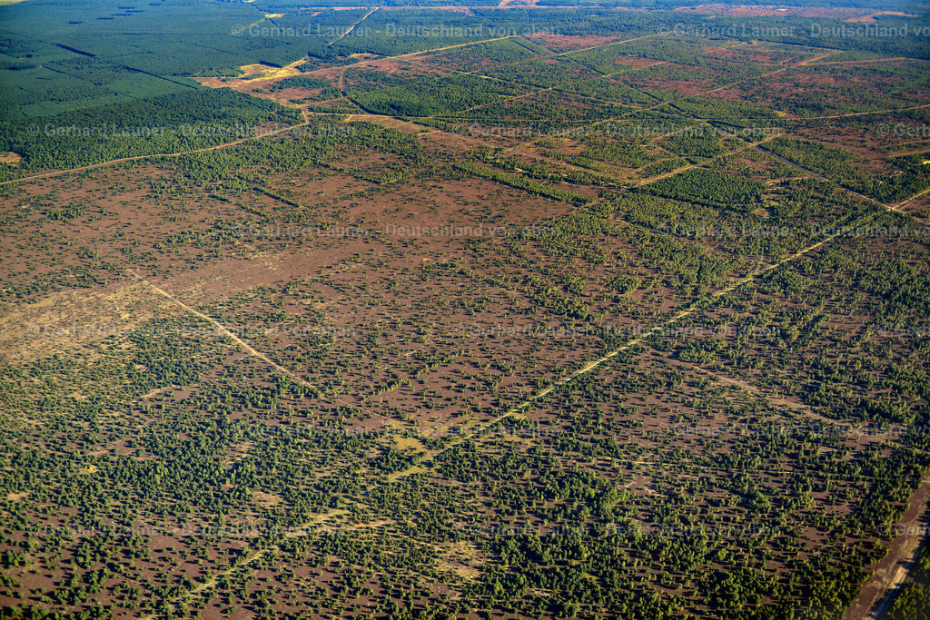 3638411 | FLECKEN ZECHLIN 25.08.2016 Forstgebiete in einem Waldgebiet  in Flecken Zechlin im Bundesland Brandenburg, Deutschland // Forest areas in  in Flecken Zechlin in the state Brandenburg, Germany Foto: Gerhard Launer