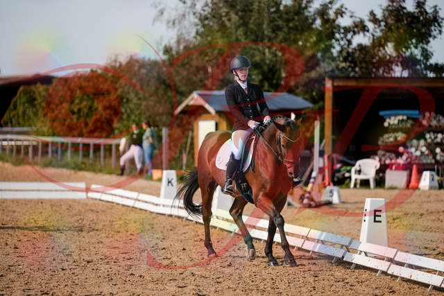 2026_10_03_Siefer-Hof_131121_Z63_74749730 | Professionelle Reitsport-, Turnier- und Eventfotografie von Robert Broda. Galerien mit ausgewählten und bearbeiteten Bildern direkt online ansehen und bestellen.