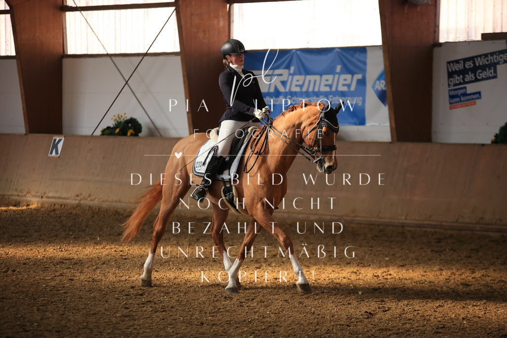 IMGT1982 | pl-fotografie