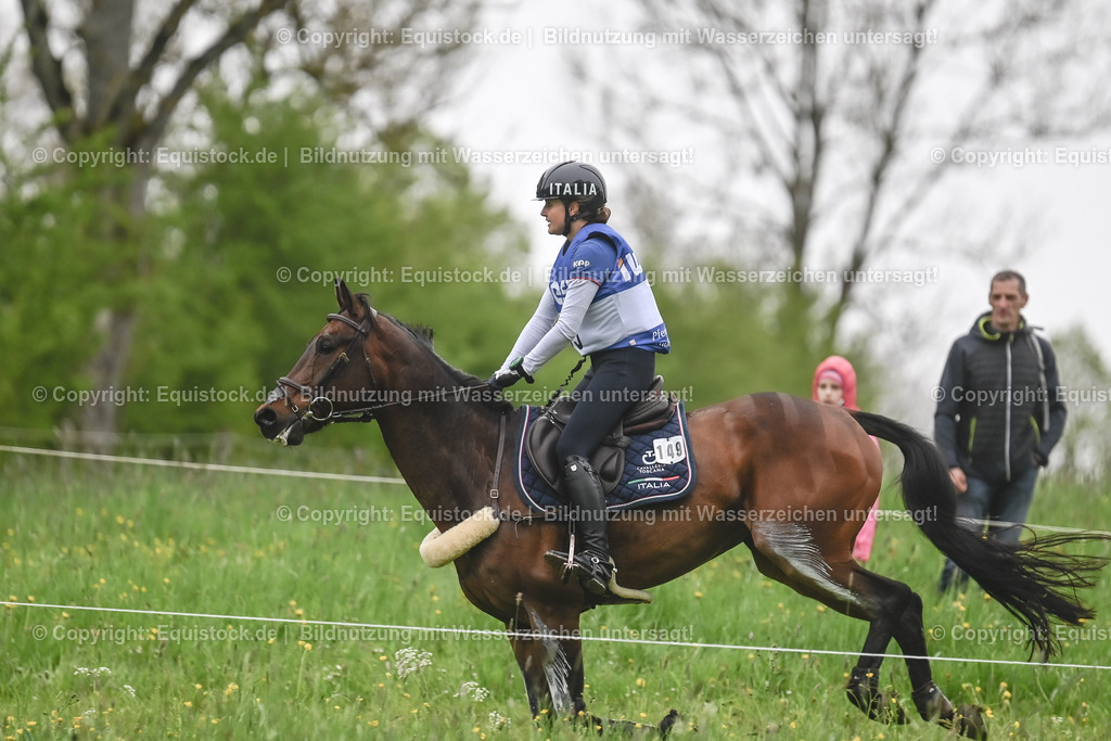 20230513_CCI4_Gelände_0206 | equistock