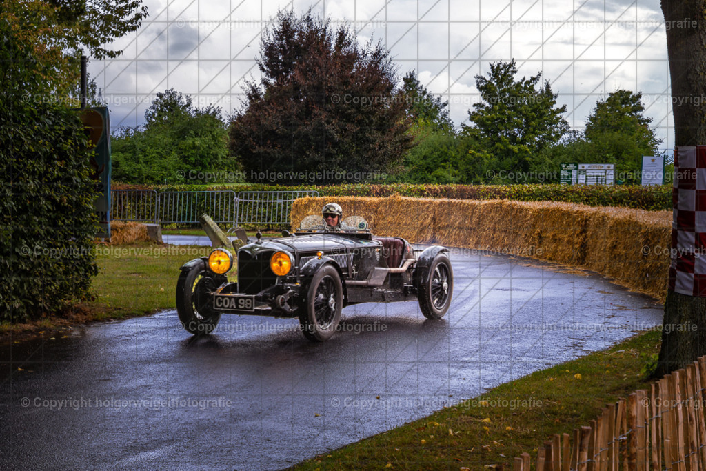 20250802133320D75_4591 | Classic Days Rittergut Birkhof 2025 - Realisiert mit Pictrs.com