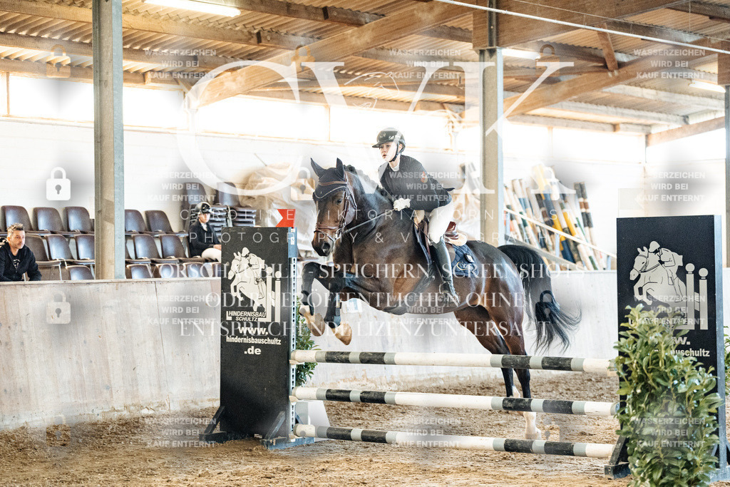 CK904559 | Turnierfotografie Pferdefotografie Trier Rheinland-Pfalz Pferdesport Reitsport Tierfotografie Sportfotografie Pferdevideo Pferdevideografie Equestrianvideography equestrianphotography  - Realisiert mit Pictrs.com