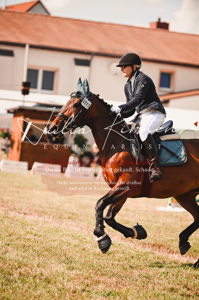 DSC_7369 | Pferde- und Turnierfotografie in Westsachsen. Pferdeportraits, Auftragszeichnungen und intuitive Kunst.