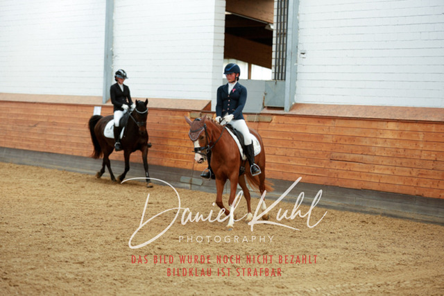 _62_5652 | Turniersportfotografie; Pferdefotografie; Dressurfotografie