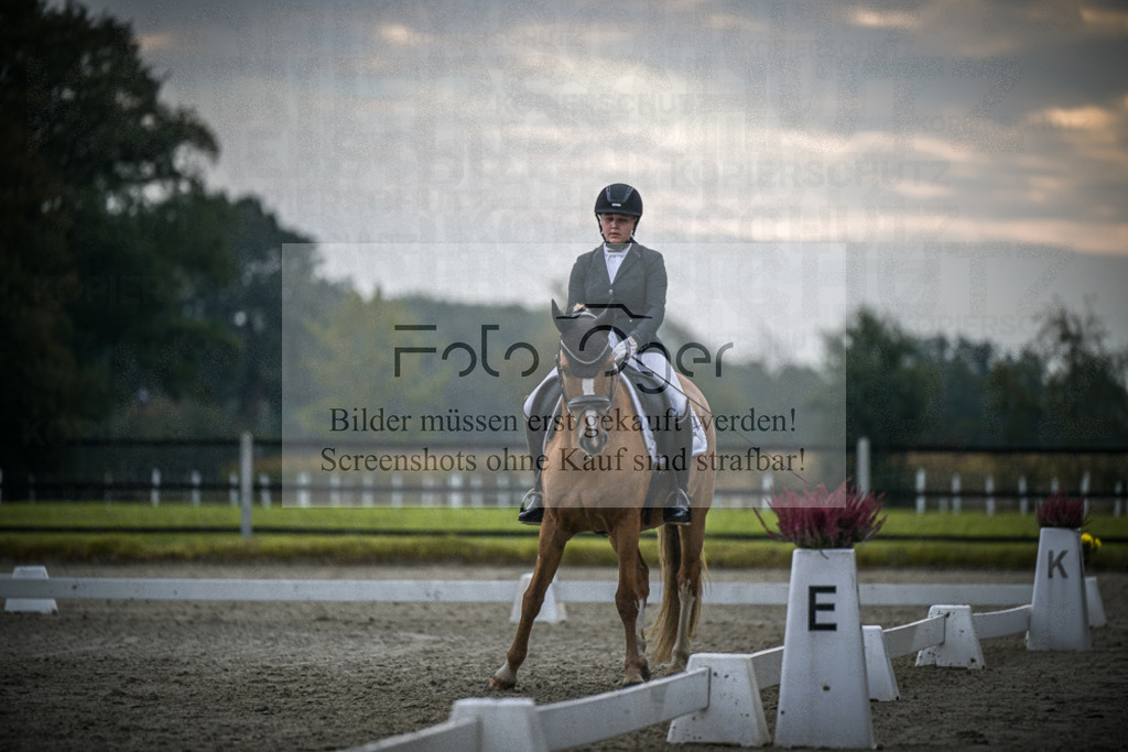 DOS_2094 | Entdecke hochwertige Reitturnierfotos von Foto Oger. Professionell, emotional und authentisch – jetzt Lieblingsmomente im Shop bestellen.Deutschlandweite Turnierfotografie. - Realisiert mit Pictrs.com
