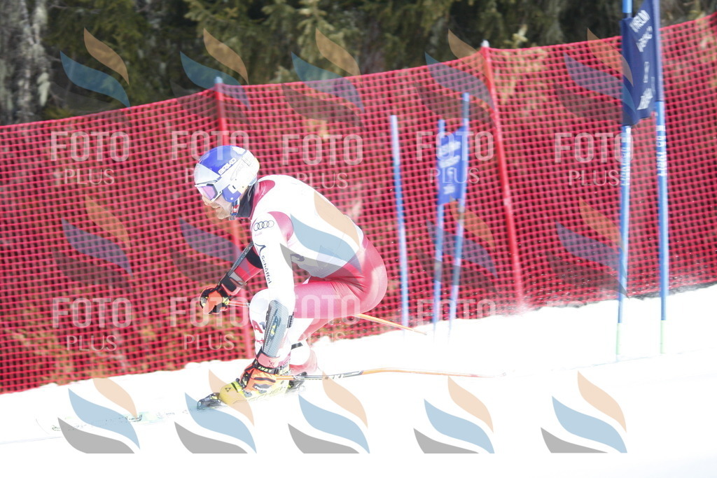 D7007 | holidayphoto