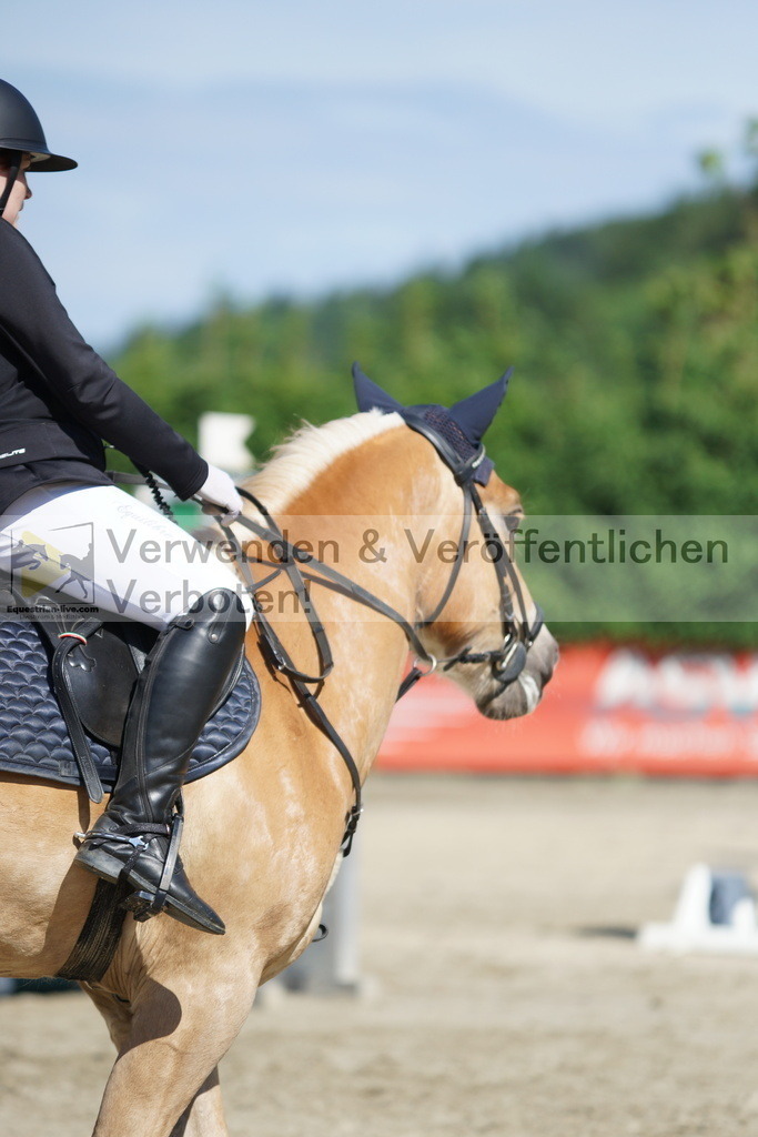 DSC06140 | equestrian-live-com