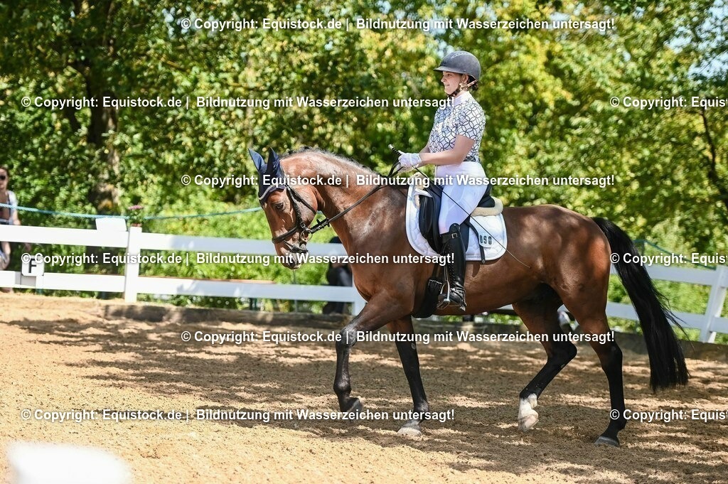20230715_02_Dressurreiterprüfung Kl.L_0134 | equistock