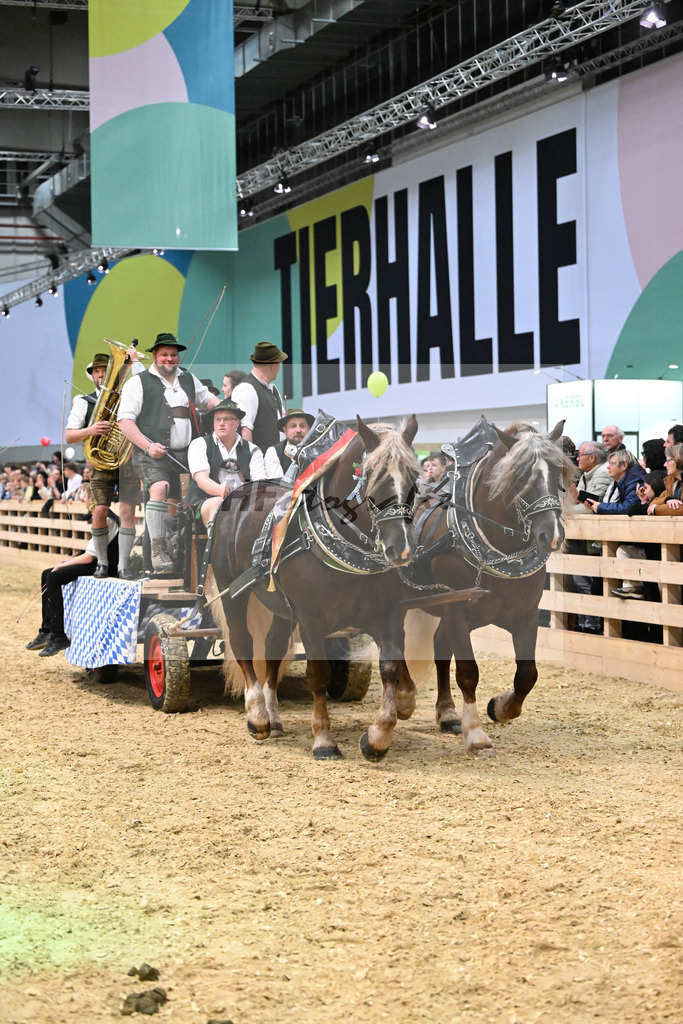 Schauprogramm_Goassl Schnalzer_1261048 | hf-fotografie - Realisiert mit Pictrs.com