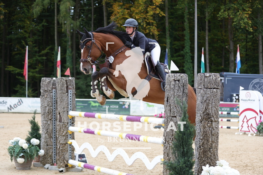0P6A1749 | Willkommen bei Brunnmayr - Design & Fotografie – Ihrem Spezialisten für Reitturniere und Pferdeveranstaltungen in Oberösterreich, Salzburg und Bayern! Seit über 17 Jahren sind wir leidenschaftlich dabei.