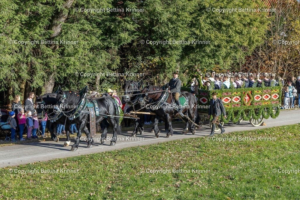 LBT25-304 | foto-bettina-krinner - Realisiert mit Pictrs.com