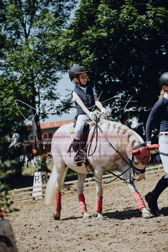 DSC_2514 | Pferde- und Turnierfotografie in Westsachsen. Pferdeportraits, Auftragszeichnungen und intuitive Kunst.