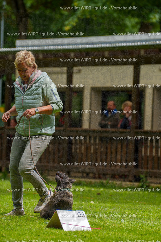 @allesWIRTHgut_Tierfotografie - www.allesWIRTHgut.de - 130230-7R509728 | Professionelle Tierfotografie in Mönchengladbach von Daniel Wirth (allesWIRTHgut). Liebevolle & natürliche Bilder von Hunden & Katzen für unvergessliche Erinnerungen.