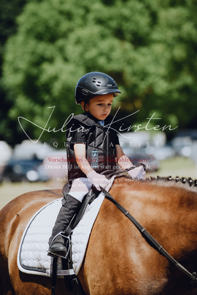 DSC_2406 | Pferde- und Turnierfotografie in Westsachsen. Pferdeportraits, Auftragszeichnungen und intuitive Kunst.
