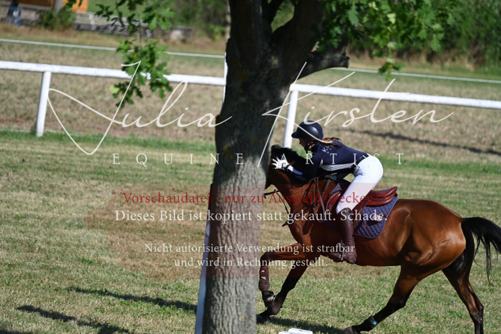 DSC_2460 | Pferde- und Turnierfotografie in Westsachsen. Pferdeportraits, Auftragszeichnungen und intuitive Kunst.