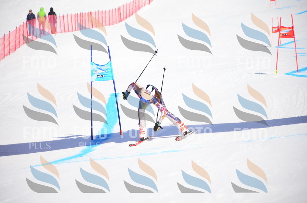 VR4_9514 | holidayphoto