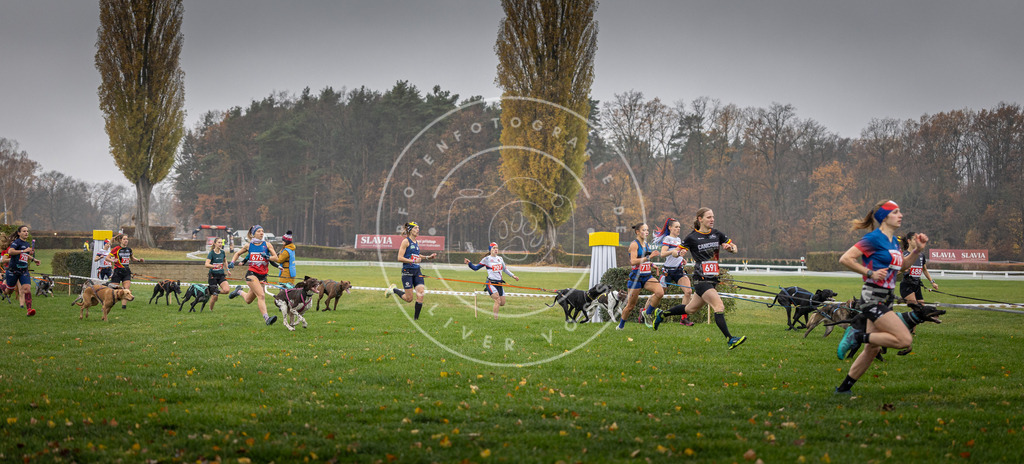 CaniXpix_DV3A8764 | Hundefotografie, Tierfotograf, Pfotenfotografie, Fotoshooting Hund, Hunde Portrait, Hundesport, Hundeportraits, Heideshooting, Hunde, Sportfotograf, Hundefotograf, Turnierhundsport, THS,  - Realisiert mit Pictrs.com