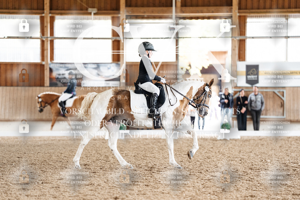 CK900535 | Turnierfotografie Pferdefotografie Trier Rheinland-Pfalz Pferdesport Reitsport Tierfotografie Sportfotografie Pferdevideo Pferdevideografie Equestrianvideography equestrianphotography  - Realized with Pictrs.com